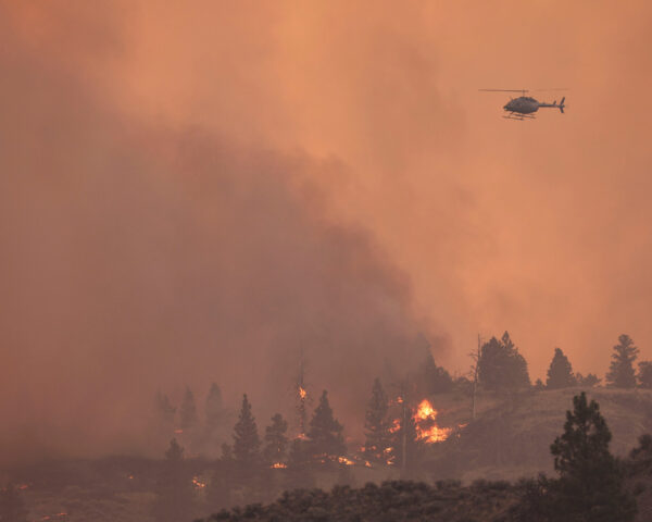 Urgent Update: Wildfire in Jasper – Aftermath of Evacuation