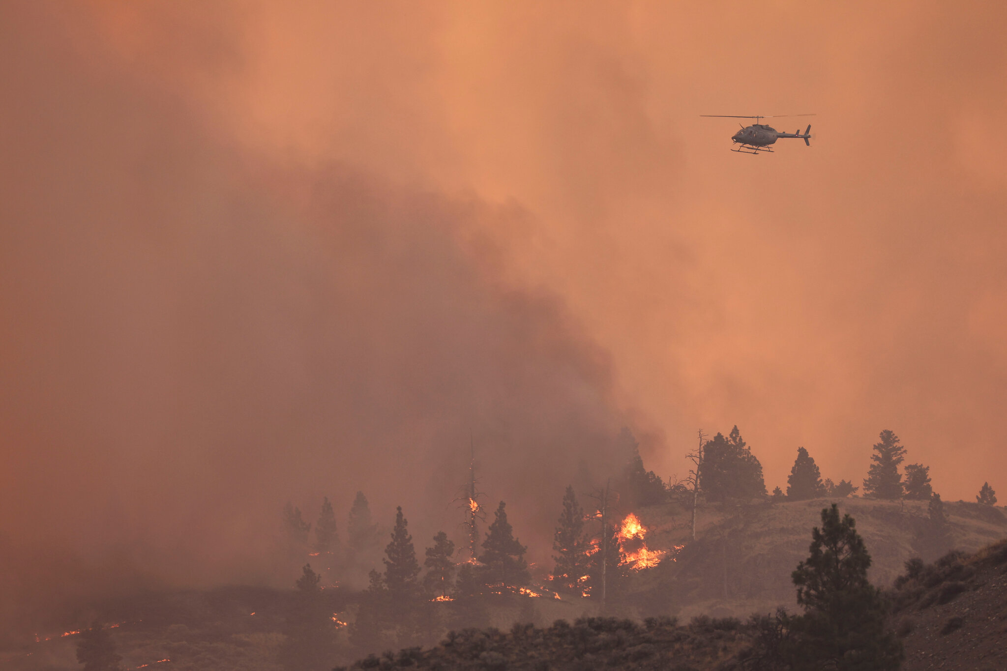 Urgent Update: Wildfire in Jasper – Aftermath of Evacuation